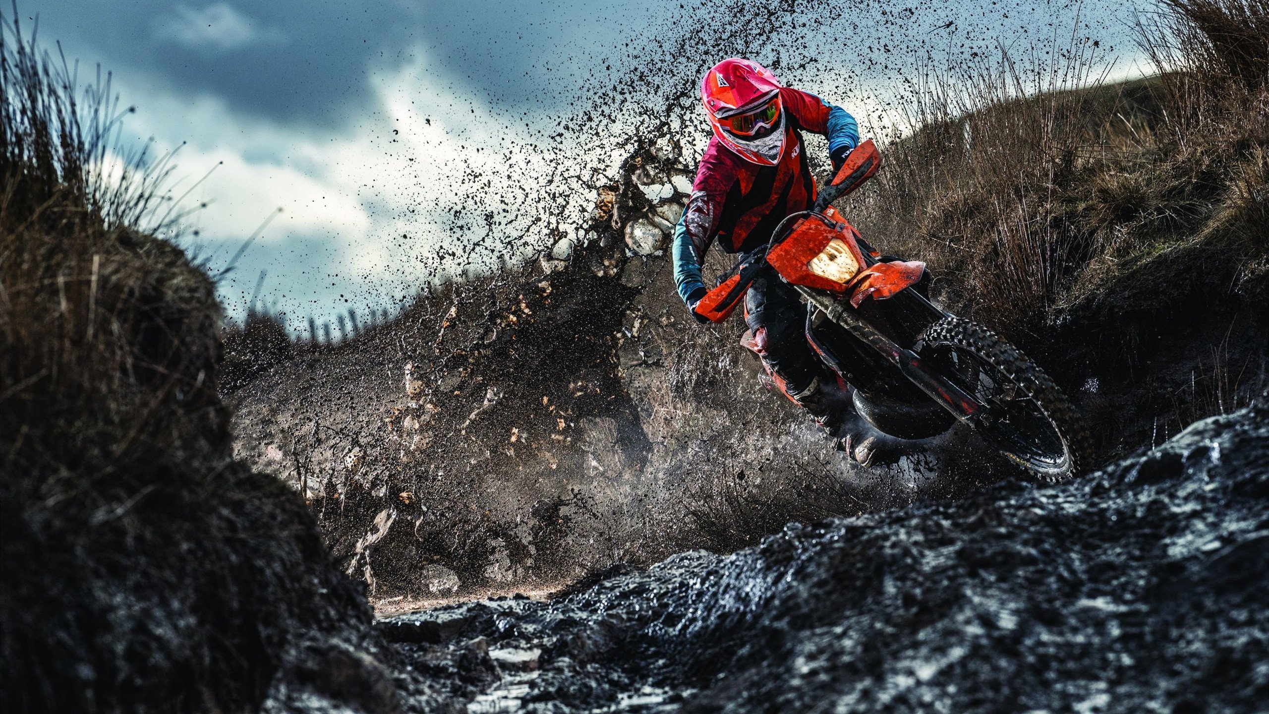 世界乒乓球青少年锦标赛国乒再夺多金 后备力量持续稳固，世界少年乒乓球挑战赛